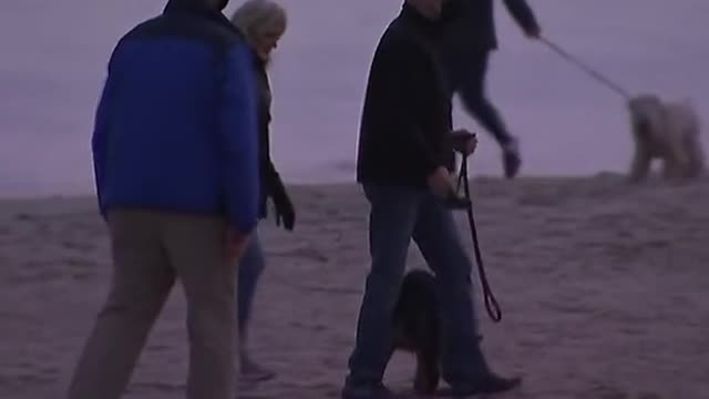 walk new on beach.