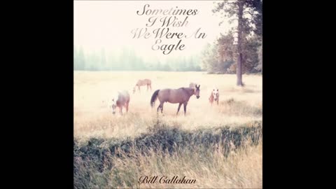 Bill Callahan,Jim Cain