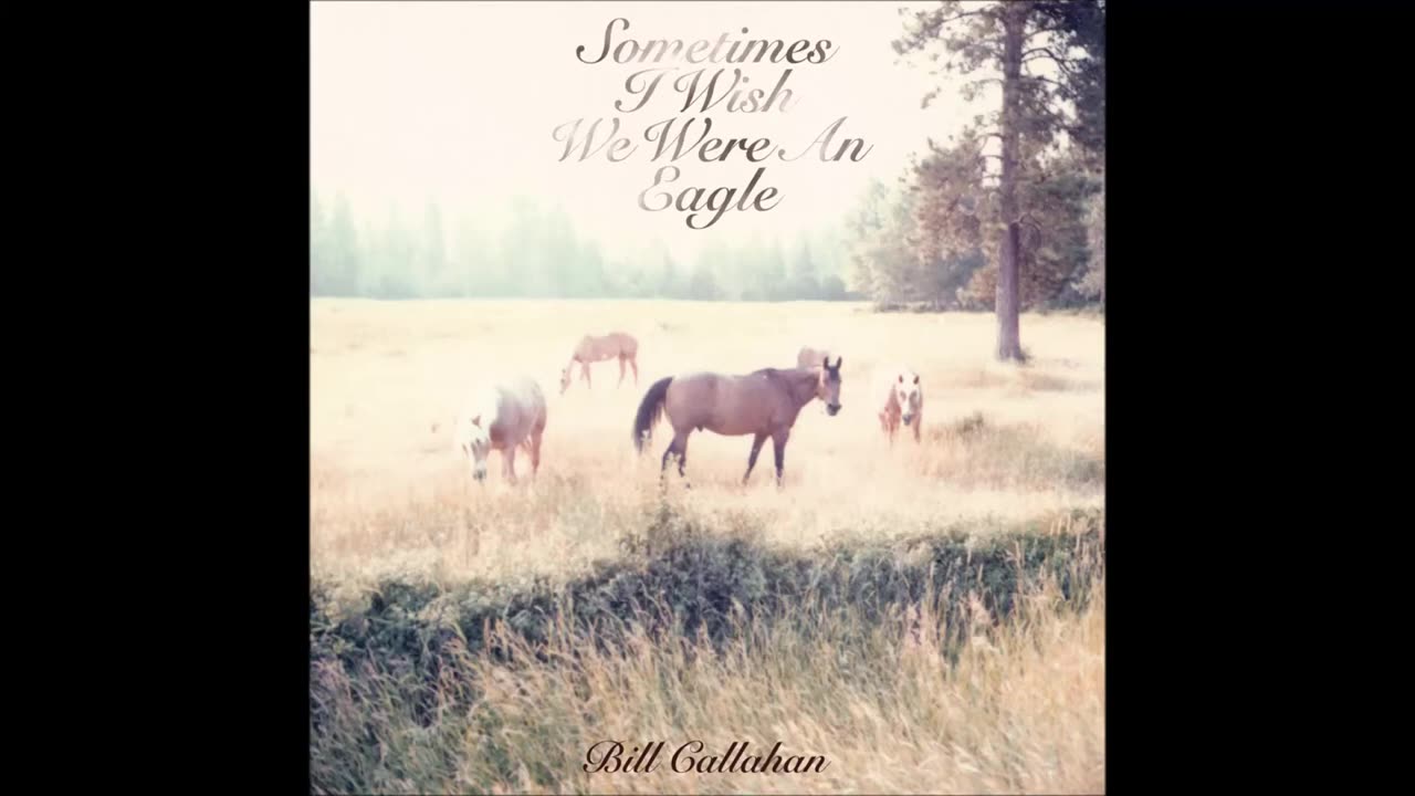 Bill Callahan,Jim Cain