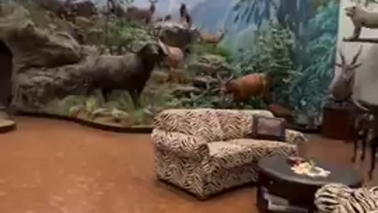 THIS MANS TROPHY ROOM LOOKS LIKE HE KILLED AN ENTIRE ZOO.