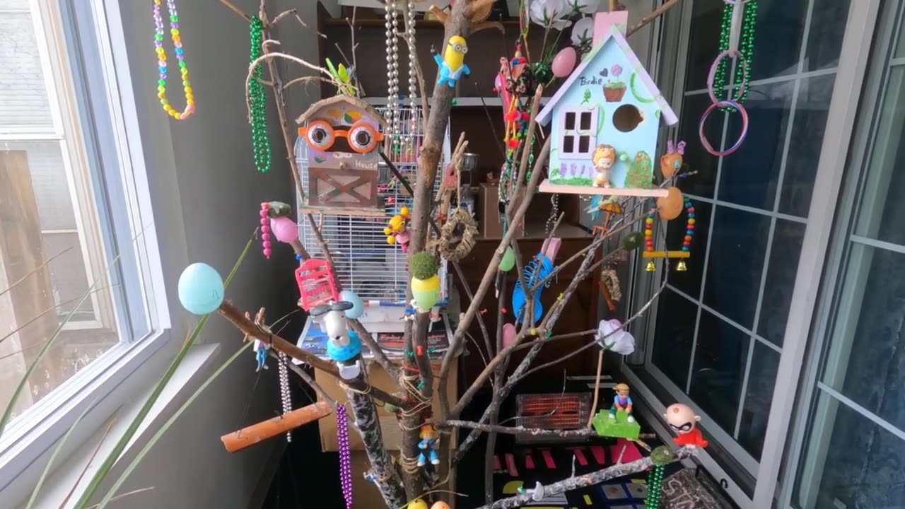 DIY Perch Tree Stand for budgie