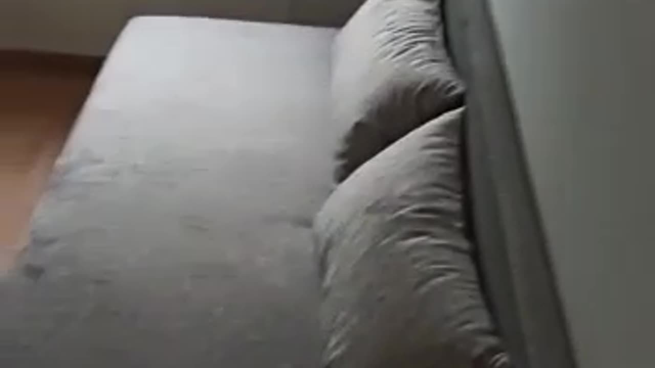 Eine schön Eingerichtet Wohnung, wer ist der Glückliche...