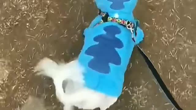 Physically I feed it, spiritually it heals me