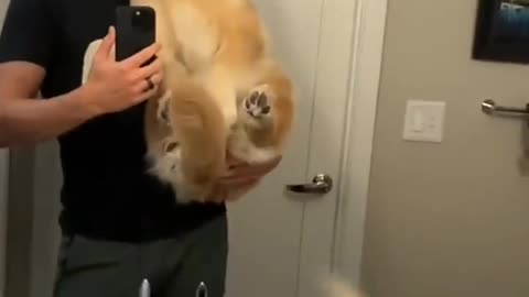 10 months older in 20 seconds