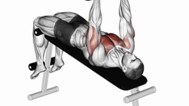 Dumbbell Only Chest Workout For Mass. chest ki exercise ksya krty hn.