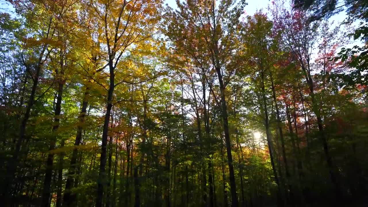 New England Fall Colors Road Trip_ Kancamagus Highway, Stowe, Sleepy Hollow(00h28m06s-00h30m16s)