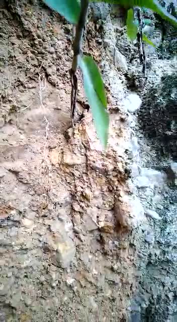 Comunidad del barrio Nápoles en alerta por inminente deslizamiento de tierra