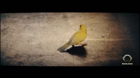 Yas - "Sefareshi" OFFICIAL VIDEO یاس آهنگ سفارشی