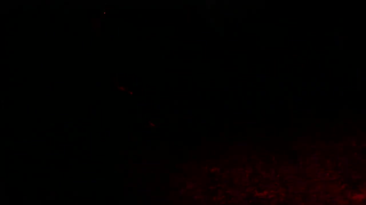 Coon Hunting WHO’S NEXT?! Hunt with Stylish Little Whitey Preview and Channel Update
