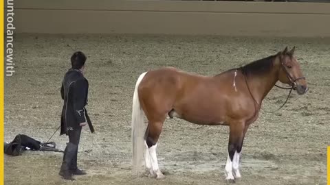 That's not a horse, that's giant puppy!
