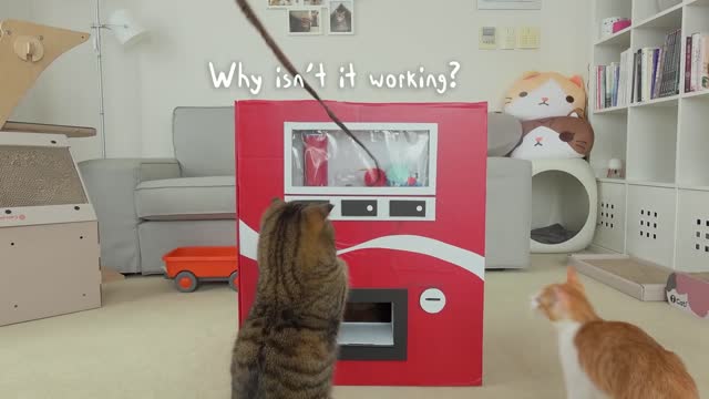 Cats vs Cat Vending Machine