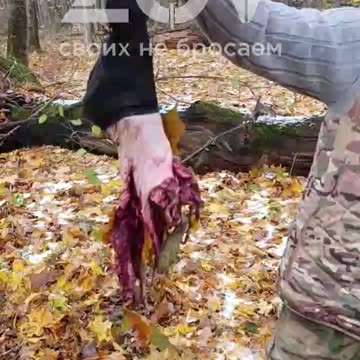 Ukraine war combat footage 11/11/24