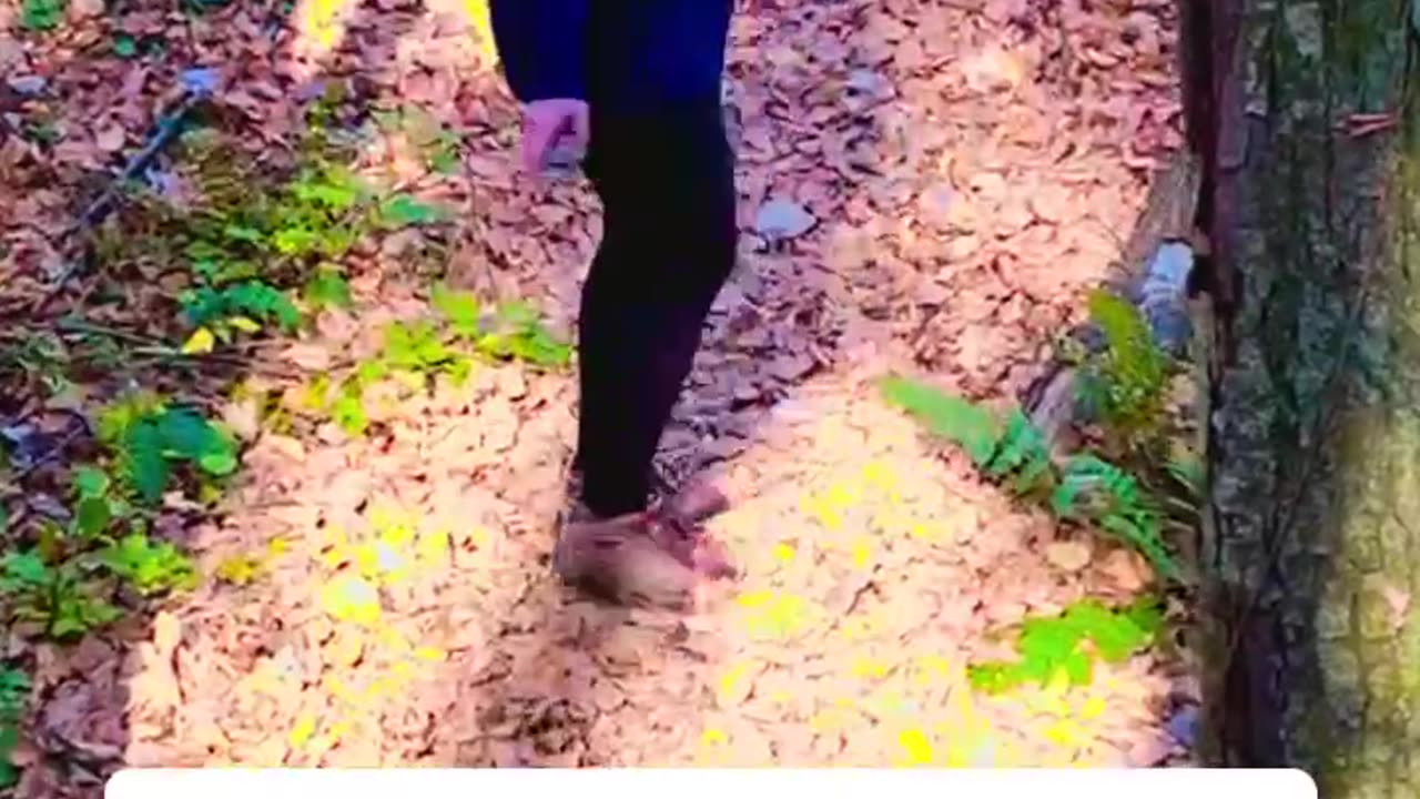 HER GRACEFUL WALK