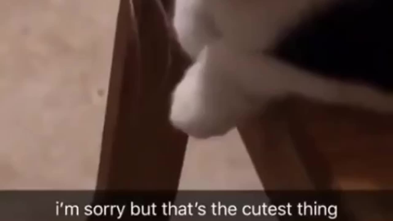 I'am sorry but that's the cutest thing 🥰🥰😘😘