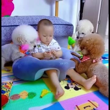 The Cutest Moments Between Babies and Animals