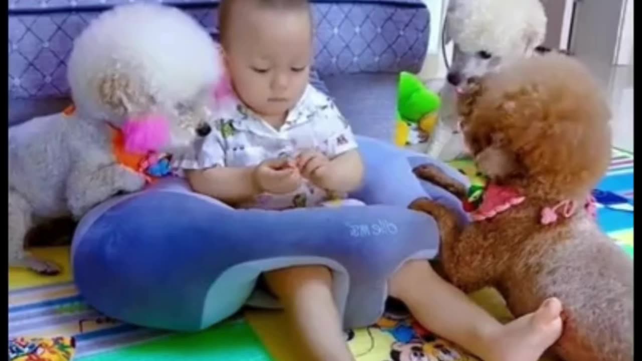 The Cutest Moments Between Babies and Animals