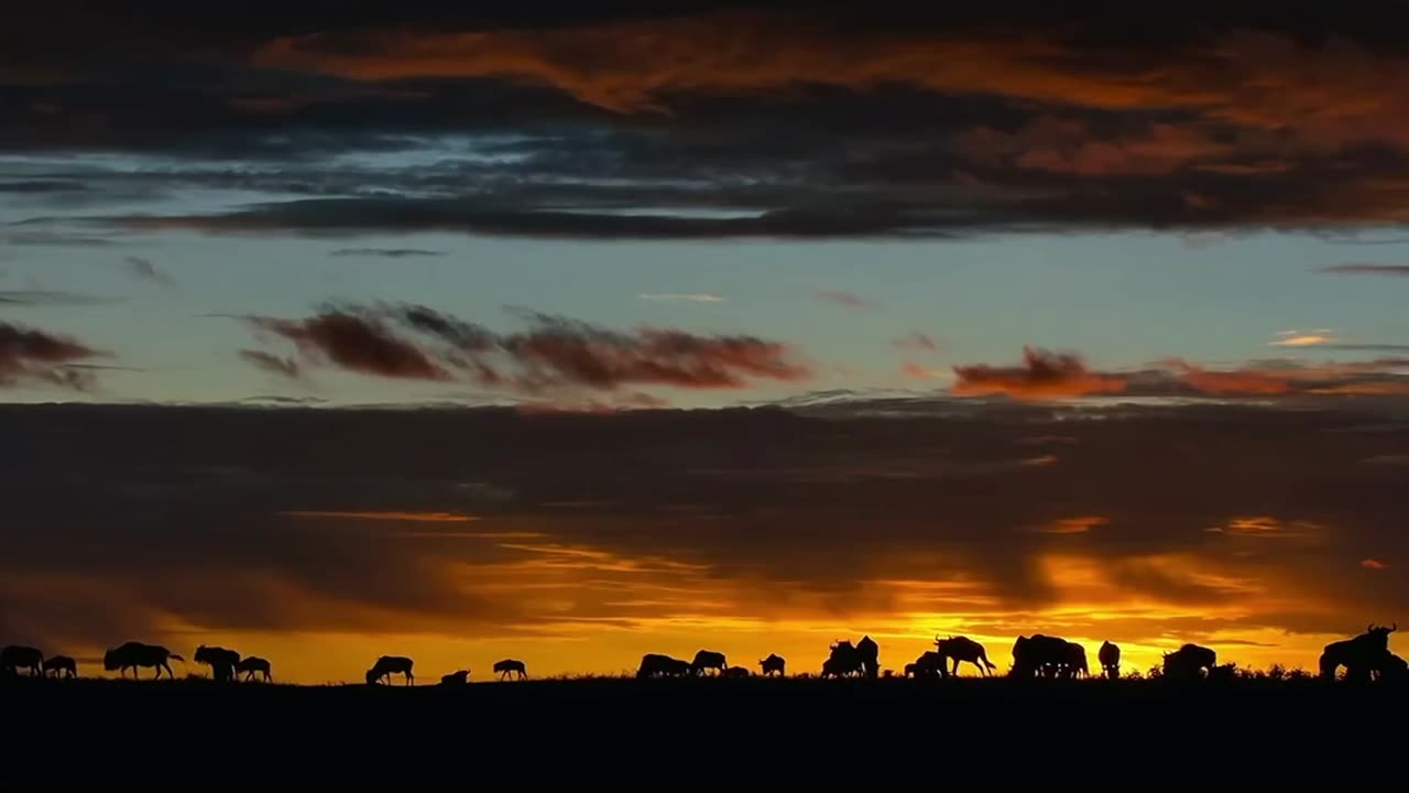 Earth, A Cinematic Journey Through Nature's Wonders