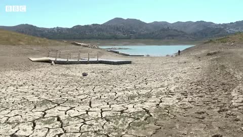 Spain experiences ice shortage during heatwave – BBC News