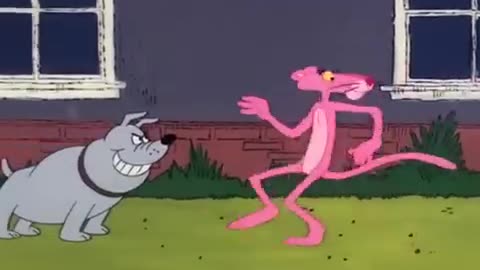 Pink Panther 2