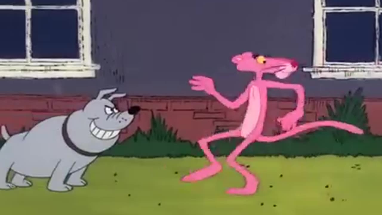 Pink Panther 2