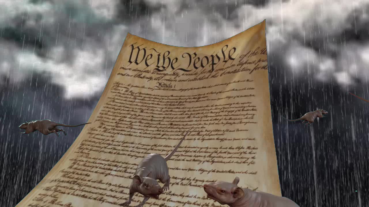 Freedom Sticks