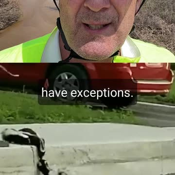 Thought for today: Be like that mother skunk