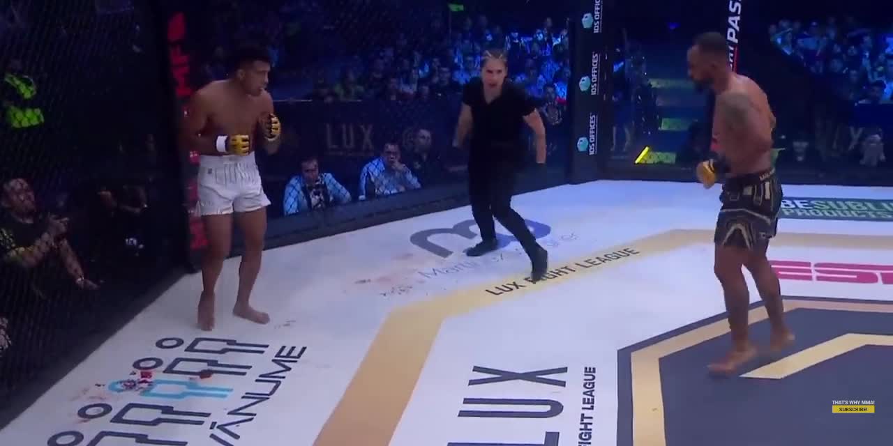boxing highlights#