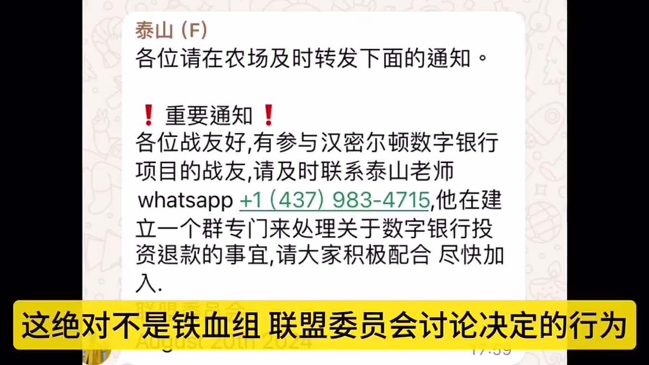 8/20/2024长岛哥盖文（一）泰山私自联系战友收集信息