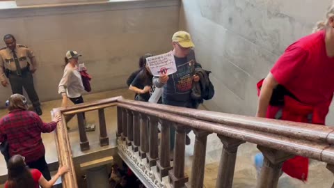 Protesters Have Taken The Tennessee State Capitol