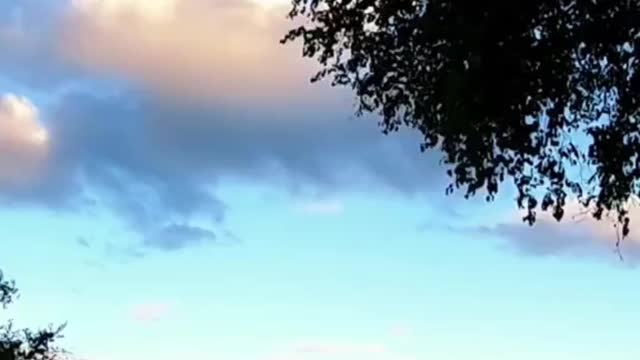 Let Me Tell You About A Secret...