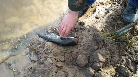 Fishing on the Dnieper. Catching catfish