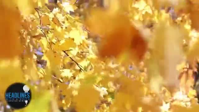 THE TOUGHEST RED-PILL OF ALL