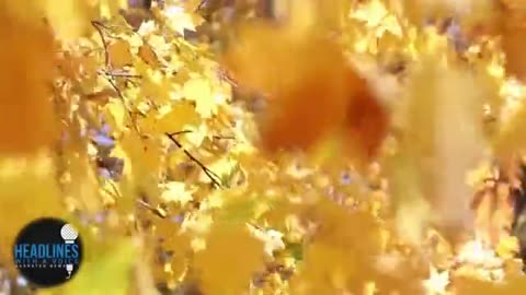 THE TOUGHEST RED-PILL OF ALL