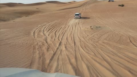 Dubai Desert safari