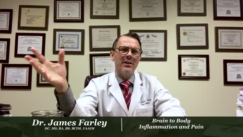 Brain to Body Inflammation and Pain