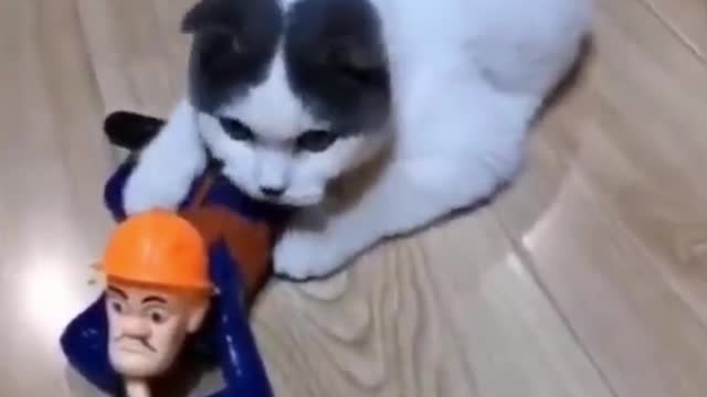 Hunting mices with my pal