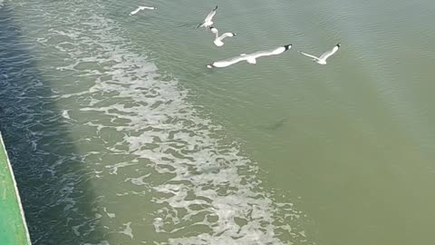 NAFF river.Banladesh Mayanmar Boarder.A journey by sea cruise.