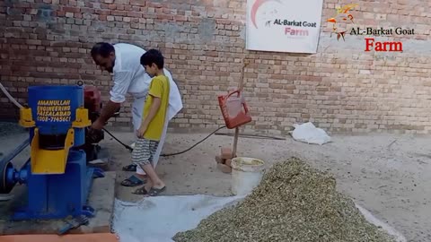 1000 KG/h Feed Pellet Machine