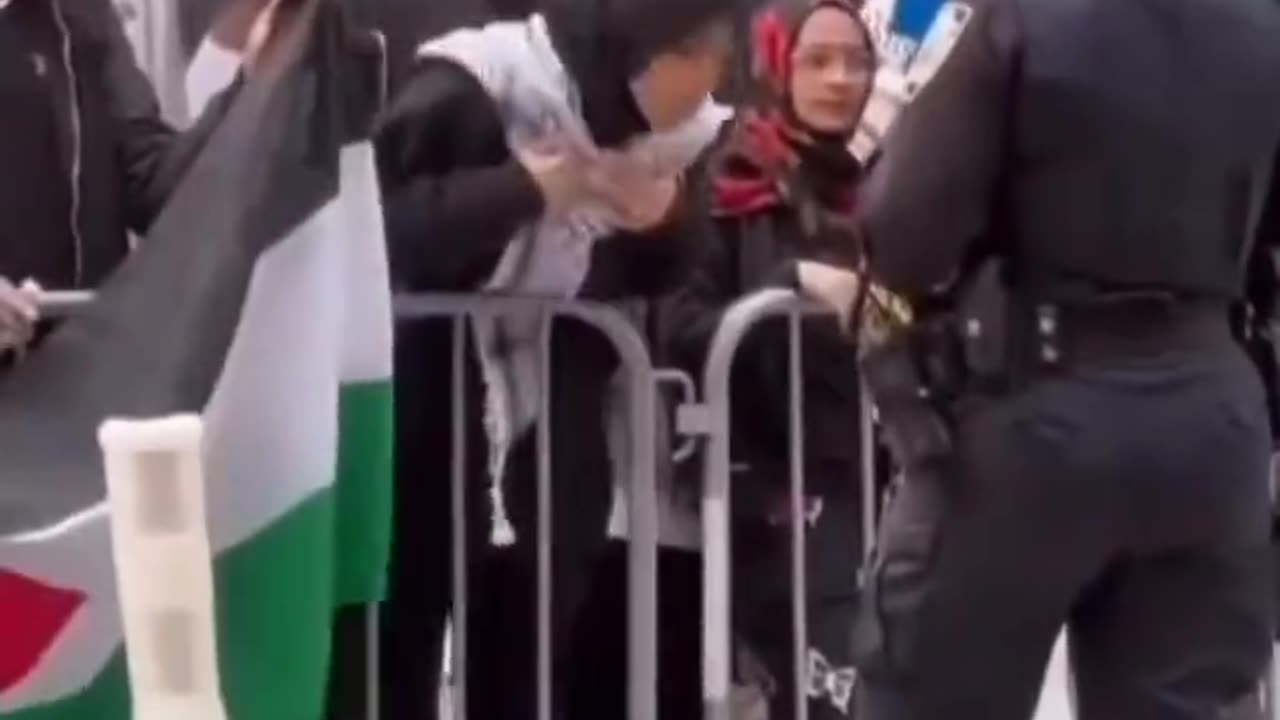 The Palestinians cause in one video