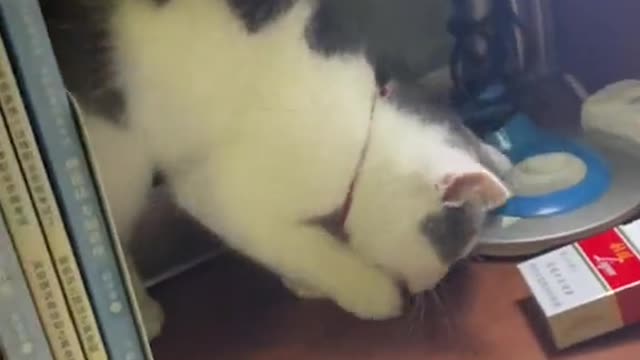 What are you doing