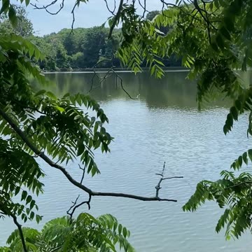 PEEK A BOO WITH NATURE!