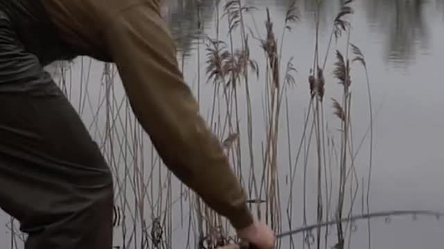 Phil out targeting them autumn roach