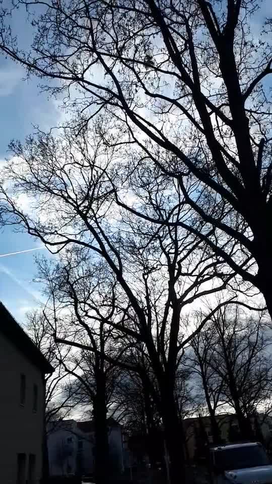 Himmel in Berlin am 7.1.2022 um 12:11 Uhr