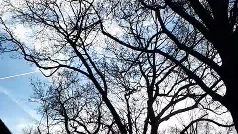 Himmel in Berlin am 7.1.2022 um 12:11 Uhr