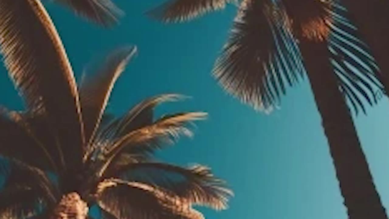 "Palm Tree Paradise Melodies | Ultimate Summer Relaxation"