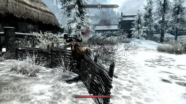 Goat got stuck,skyrim