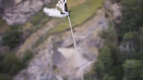 People Are Awesome _ Compilation _ Best of 2021 - Full HD (720p60fps)