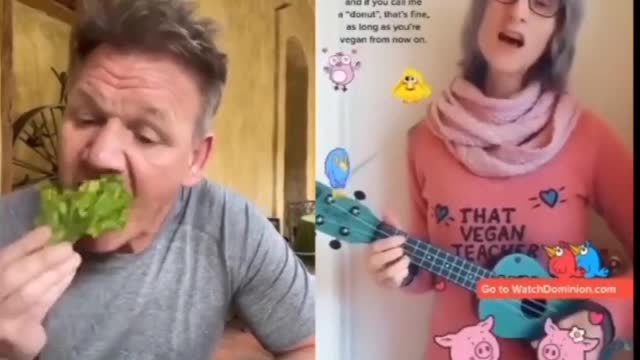 Funny Gordon Ramsay reacts to bad Tiktok cooking videos _ #shorts. #kitchennightmares