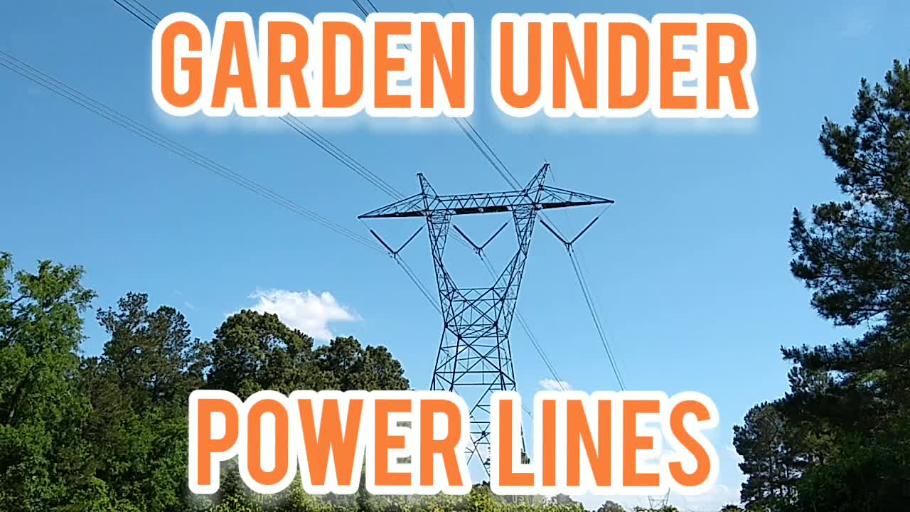 Garden Under Powerlines