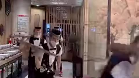 Waiters delivering food on roller skates 🛼
